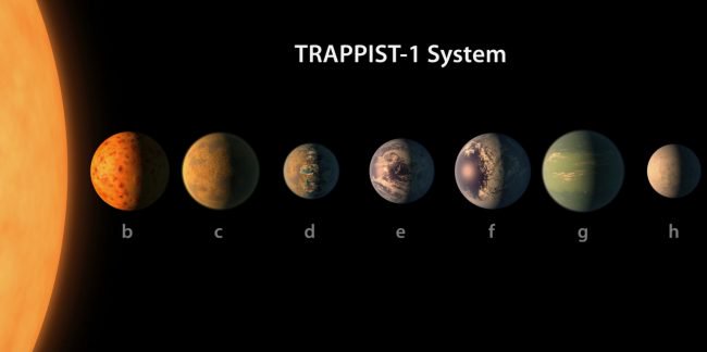 Trappist_system-650x324